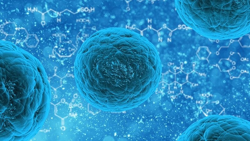 stem cells and their power of creating new tissues