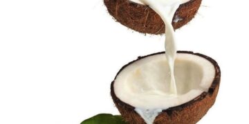 coconut
