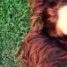 hair color