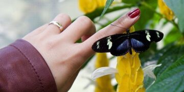nail design