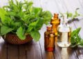 clove oil