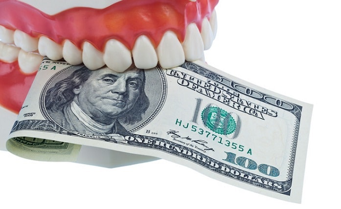 tooth model with dollar bill in it