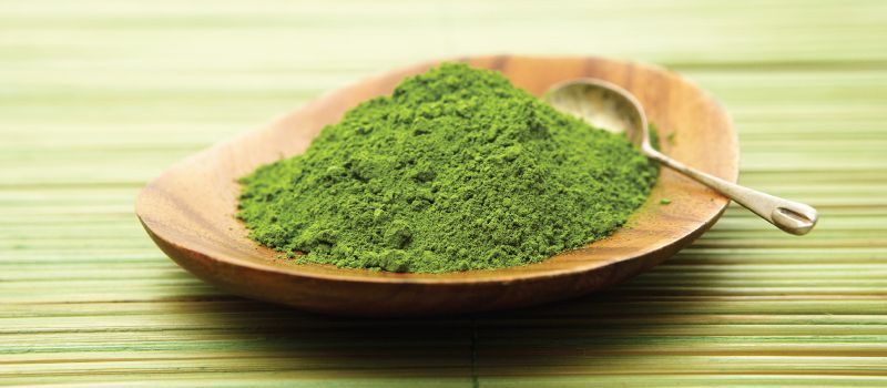 3 green tea extract powder
