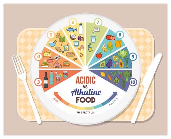 what is the alkaline diet