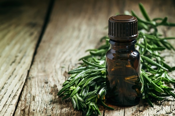 how to make your hair stronger tea tree oil and rosemary