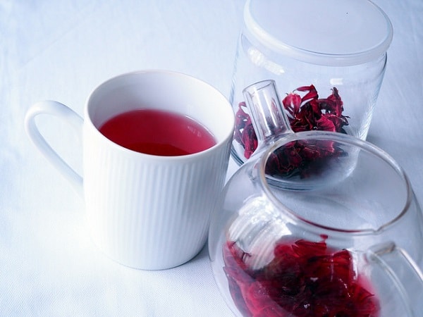 hibiscus tea and plant