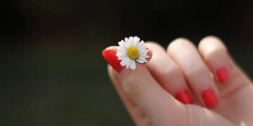 Daisy Hand Lacquered Fingernails Finger Flower 302802