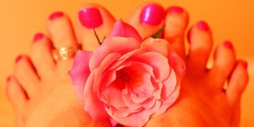Womans Feet Holding Pink Rose Fresh Pedicure