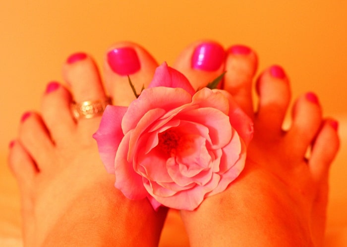 Womans Feet Holding Pink Rose Fresh Pedicure