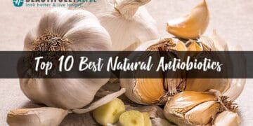 Top 10 Best Natural Antiobiotics