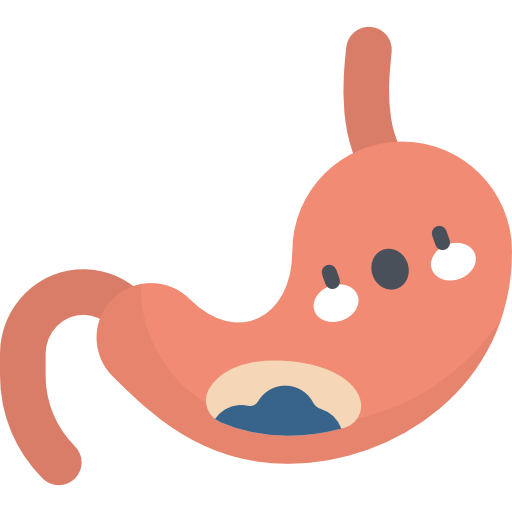 stomach icon