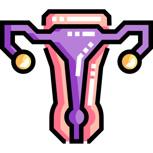 vaginal health icon