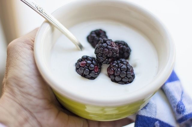 yogurt with blueberries on top